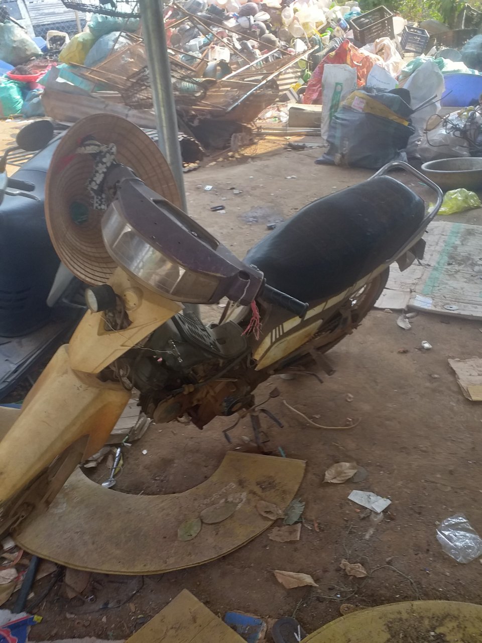 20240410_145738-jpg.1161020