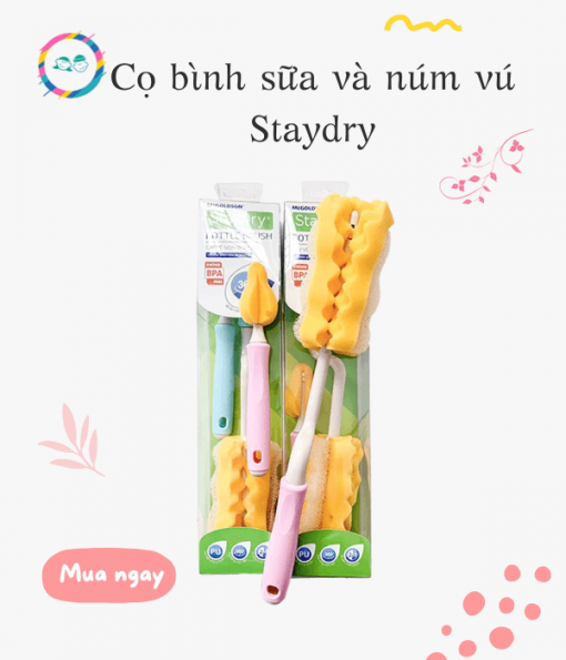 co-binh-va-num-Staydry-510x595.png