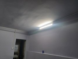 IMG_20221110_064826.jpg