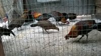 WP_20160215_013.jpg