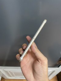 IMG_1336.jpeg