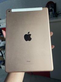 IMG_0924.jpeg