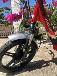 IMG_6439.jpeg