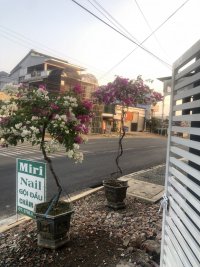 IMG_6647.jpeg