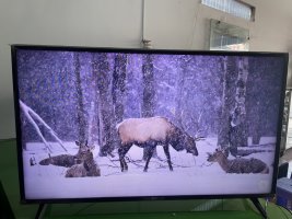 IMG_1472.jpeg