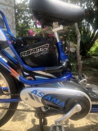 IMG_7672.jpeg