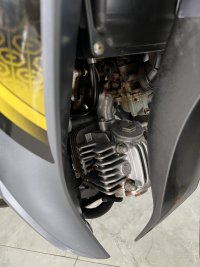IMG_1239.jpeg