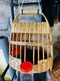 IMG_2965.jpeg