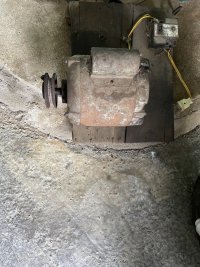 IMG_0253.jpeg