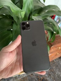 IMG_2683.jpeg