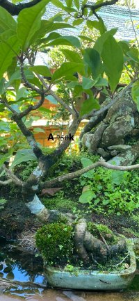IMG_4912.jpeg