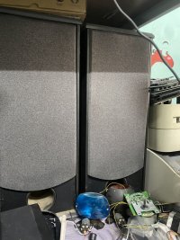 IMG_2592.jpeg