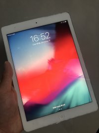 IMG_1124.jpeg