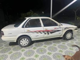 IMG_5599.jpeg