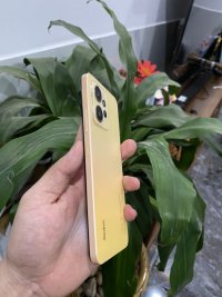 IMG_1785.jpeg