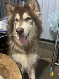 IMG_3453.jpeg