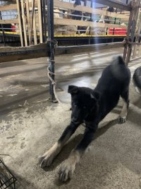 IMG_3517.jpeg