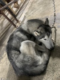 IMG_3518.jpeg