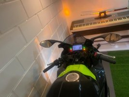 IMG_3366.jpeg
