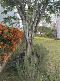 IMG_8459.jpeg