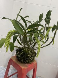 IMG_0066.jpeg