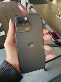 IMG_1741.jpeg