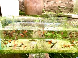 IMG_0090.jpeg