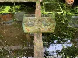 IMG_0091.jpeg