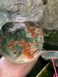 IMG_0354.jpeg