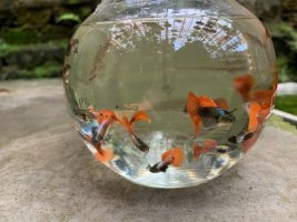 IMG_0337.jpeg
