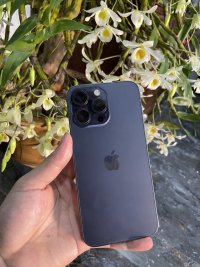 IMG_2121.jpeg