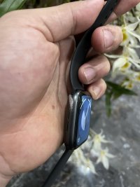 IMG_2129.jpeg