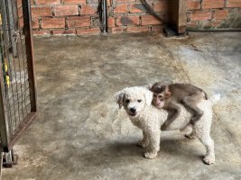 IMG_1824.jpeg