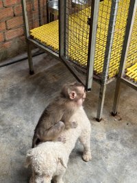 IMG_1733.jpeg