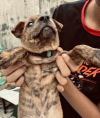 IMG_3039.jpeg