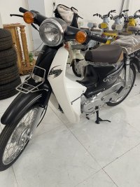 IMG_0394.jpeg
