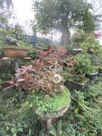IMG_5856.jpeg