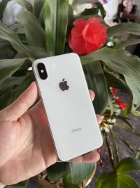 IMG_0466.jpeg
