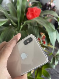 IMG_0335.jpeg