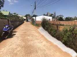 IMG_0406.jpeg