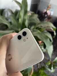 IMG_0854.jpeg