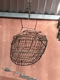 IMG_1135.jpeg