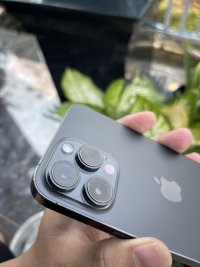 IMG_1054.jpeg