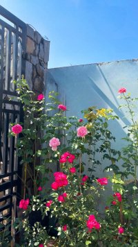 IMG_9099.jpeg