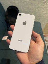 IMG_3374.jpeg
