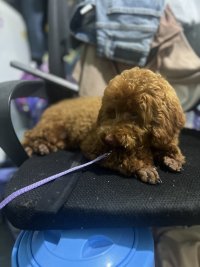 IMG_8105.jpeg