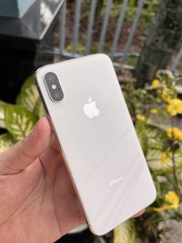 IMG_0443.jpeg