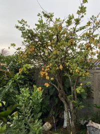 IMG_0644.jpeg