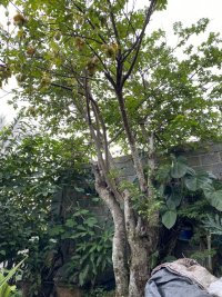 IMG_0643.jpeg