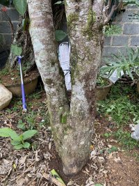 IMG_0642.jpeg